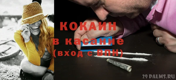 прущая мука Арсеньев